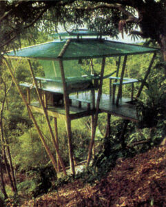 How to Build a Treehouse Image